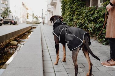 Собачий дощовик HUNTER UPPSALA Softshell чорний, водонепроникний, вітрозахисний, спортивний дизайн, флісовий підклад, регульований, з відбивачами, розмір 50