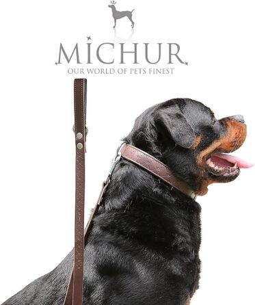 Шкіряний нашийник для собак MICHUR Design, коричневий, різні розміри