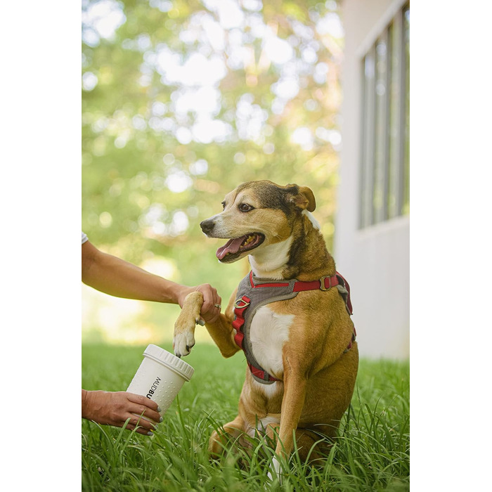 Dexas MudBuster Портативний очисник лап для собак, середній, світло-білий