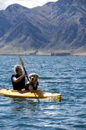 Собача рятувальна жилетка Float Doggy, ергономічна, патентований дизайн, середній розмір, рожева