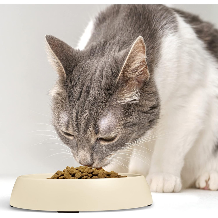 Миски для котів CatGuru Schnurrhaar, широкі, антистресові, нековзкі, набір 2 шт., пісочний колір