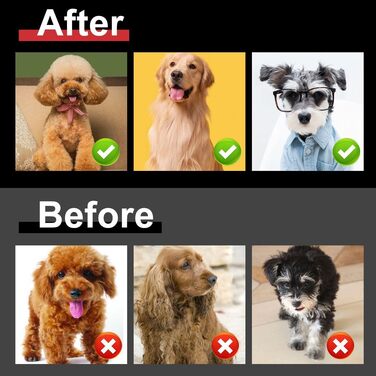 Професійна машинка для стрижки собак Hatteker: електрична, бездротова, з підсвічуванням, 7500 RPM