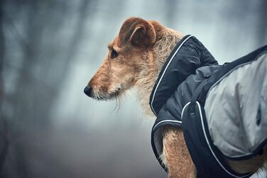 Зимова куртка для собак HUNTER UPPSALA EXTREME, водовідштовхувальна, з відбивачами, чорна/сіра, 25 см