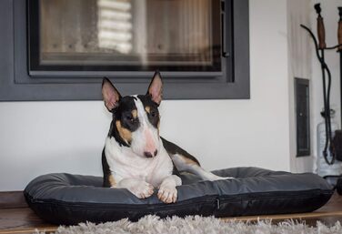 Крісло-ліжко для собак середніх порід Ella від 4L Textil: водостійке, з штучної шкіри, 90x70 см, графіт