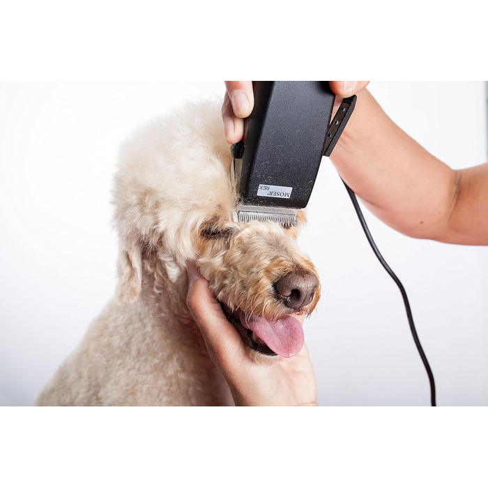 Професійна машинка для стрижки тварин Moser Rex 1230 для середніх собак (стара версія)