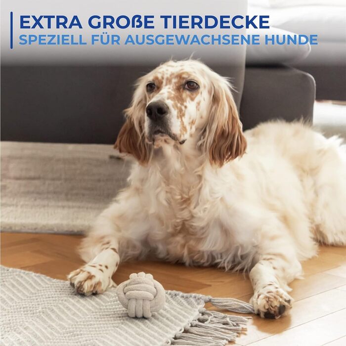 Килимок для собак Maximex Multi Tierdecke 60x1,5x90cm: самоочищуючийся, вологостійкий, з антиковзним покриттям