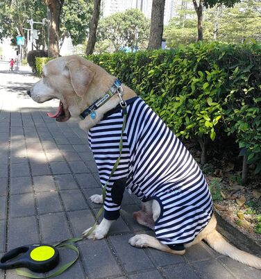 Піжама для собак, комбінезон, одяг для собак середнього та великого розміру, дихаючий, з блискавкою, м'яка бавовна