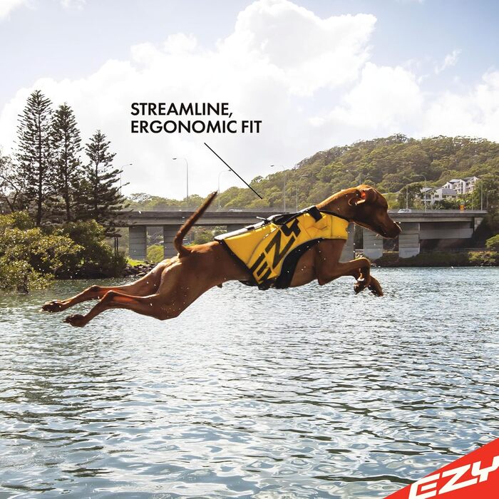 Ейдзі Дог Chwimmwete Hund: преміум рятувальний жилет для собак маленьких, середніх та великих порід - DFD X2 для басейну, пляжу та човна