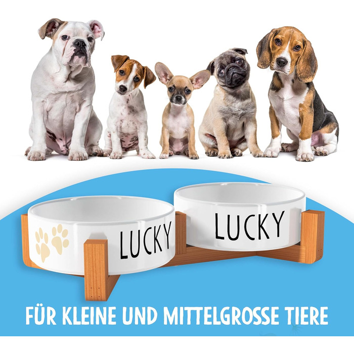 Персоналізована миска для собак OWLBOOK з ім'ям - подвійна керамічна миска з бамбуковим підставкою, 300 мл