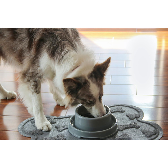 PetLike миска для домашніх тварин з захистом від мурах, не розливається, для котів, цуценят, дрібних і середніх собак, для води та корму