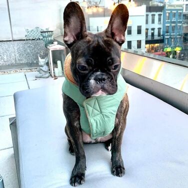 Тепла жилетка Gooby для собак, флісова підкладка, захист від холоду, рожева, розмір L