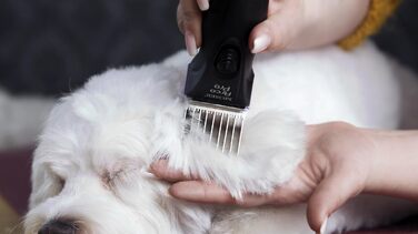 Машинка для стрижки собак Arco Pro акумуляторна, Rotschopf24 Edition, XL акумулятор + сумка, 44204