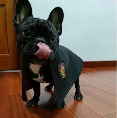 Костюм на Хелловін для собак та котів 3 в 1: шапка-капелюх, окуляри та краватка. Великий, чорний. Cosplay, аксесуари для тварин