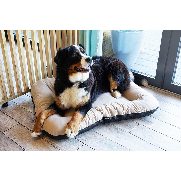 Клео - лежанка для собак середніх розмірів, 90x70 см, бежева, знімний чохол, водонепроникна, для собак великих порід
