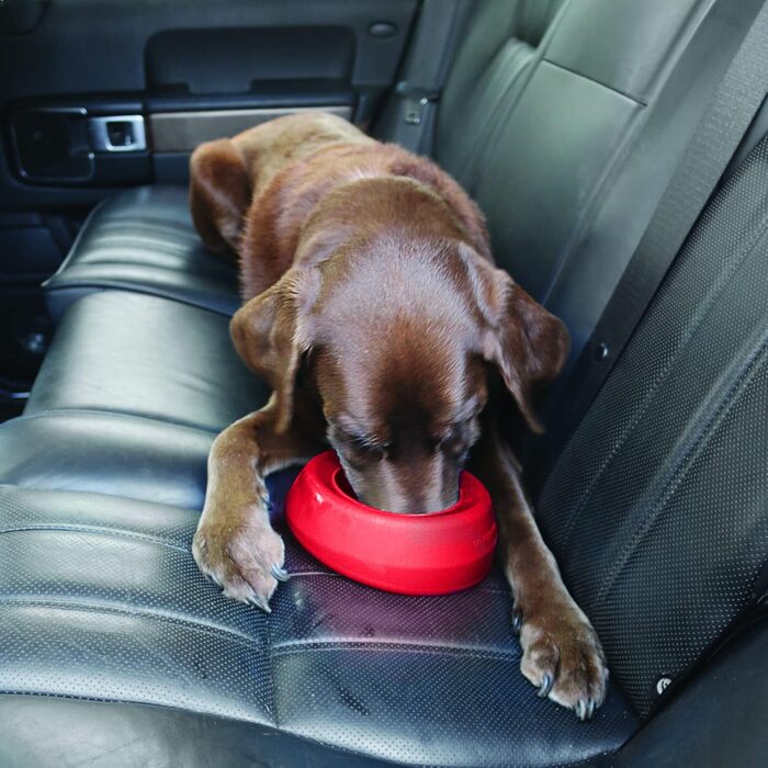 Kurgo Splash Free Wander: Миска для води для собак, 0.7 л, червона, не проливається, для подорожей