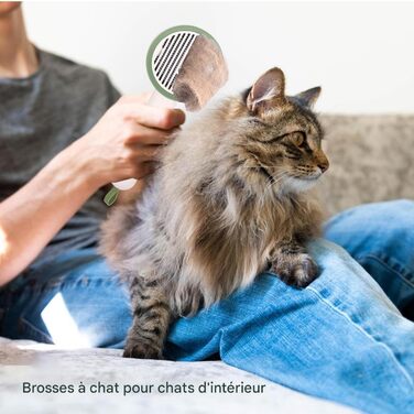 Гребінець для котів Slicker Brush – видалення шерсті, проти випадання, з UV-ф функцією, антиковзаюча ручка, для купання та подорожей, білий