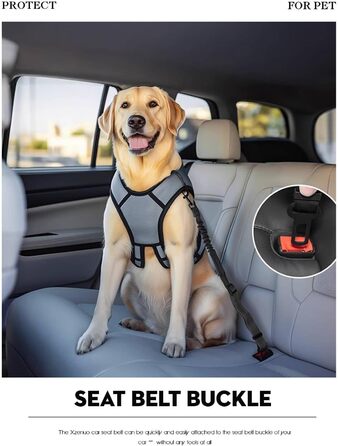 Авторемень для собак у машину, безпечний ремінь для собак на заднє сидіння, регульований авторемень з еластичною амортизацією та металевим карабіном (червоний, 60см, 1 шт.)