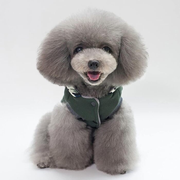 Теплий зимовий одяг для собак: куртка-худі для маленьких та середніх собак, камуфляжний колір, розмір S (обхват грудей 32 см)