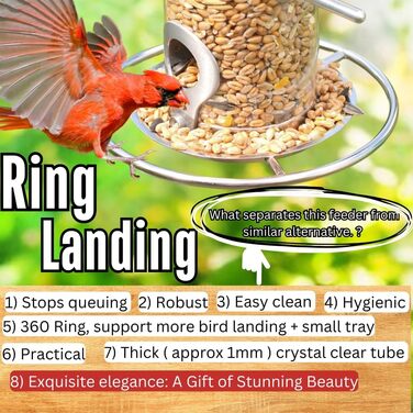 Годівниця для птахів на сонцезахисній підставці, для саду, срібна. З наповнювачем: соняшникові зерна та суміш.