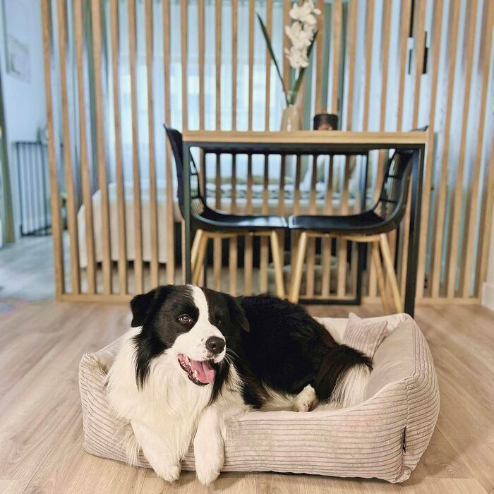 М'яке ліжко для собак 4L Textil Molly - зручне собаче ліжко-корзинка, 60x40 см, бежеве. Знімна та пральна наволочка, підходить для середніх собак.