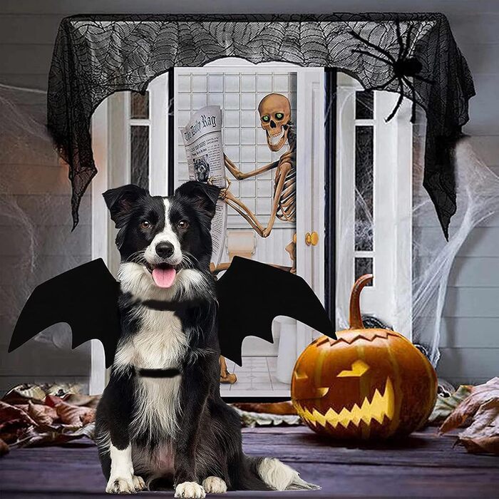 Костюм кажана для тварин: набір для кота та собаки, аксесуар для Хелловіну, косплей, вечірка, декор, чорний