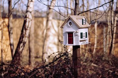 Дерев'яний годівничка та шпаківня Wildlife Garden WG1122 Multiholk New England для птахів