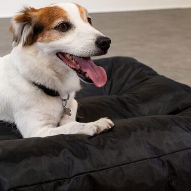 Крісло-лежанка для собак Bananair - м'яке та зручне, водонепроникний матеріал, легко миється - XXL лежанка/корзина для собак, різні розміри/кольори (90 x 65 x 10 см, чорний)