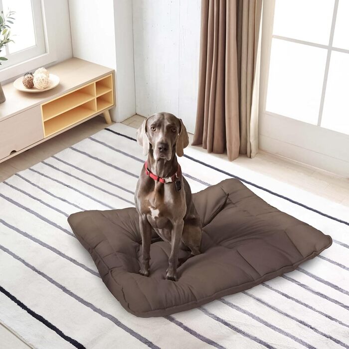 Елегантна подушка для собак Maxy, 60x100 см (колір: коричневий)