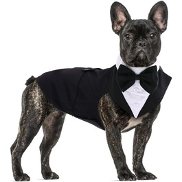 колір: чорний