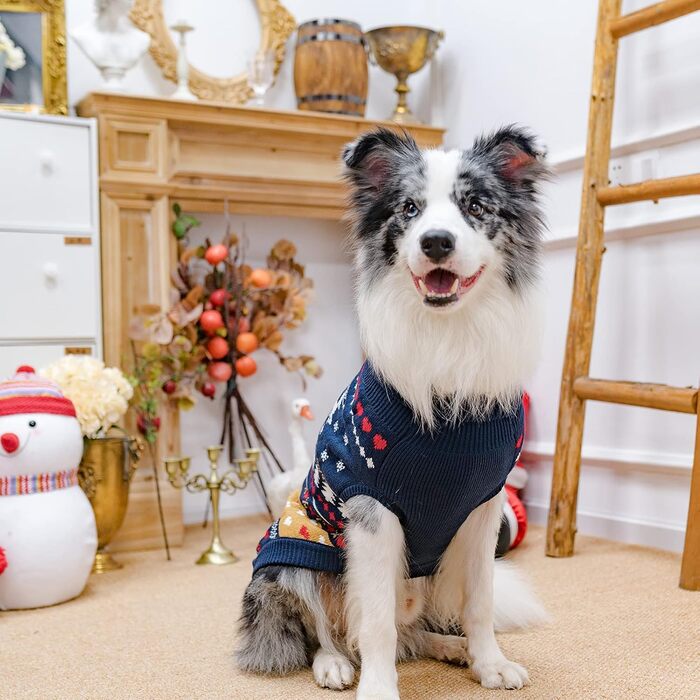 Пуловери для собак PUPTECK: теплі зимові пуловери для малих, середніх собак та цуценят. Зимовий одяг для собак, теплий, кольоровий, класичний, синій.