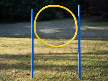 Набір для аджиліті для собак: слаломні стійки, бар'єри та кільце. Тренування собаки вдома, собачий спорт