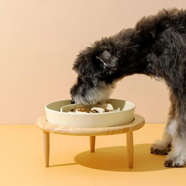 Миска для собак Anti Schling Napf з кераміки, піднята миска для собак, проти блювоти, інтерактивна миска для повільного годування, для котів та маленьких собак, темно-зелена, 15.5 см