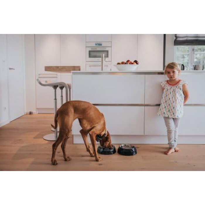 Миска для собак та котів HUNTER KIMBERLEY з нержавіючої сталі, 700 мл, чорна