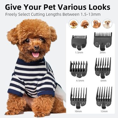 Професійний набір для грумінгу собак: тример для шерсті з акумулятором 2000mAh, 6500rpm, тиха робота, чорний колір