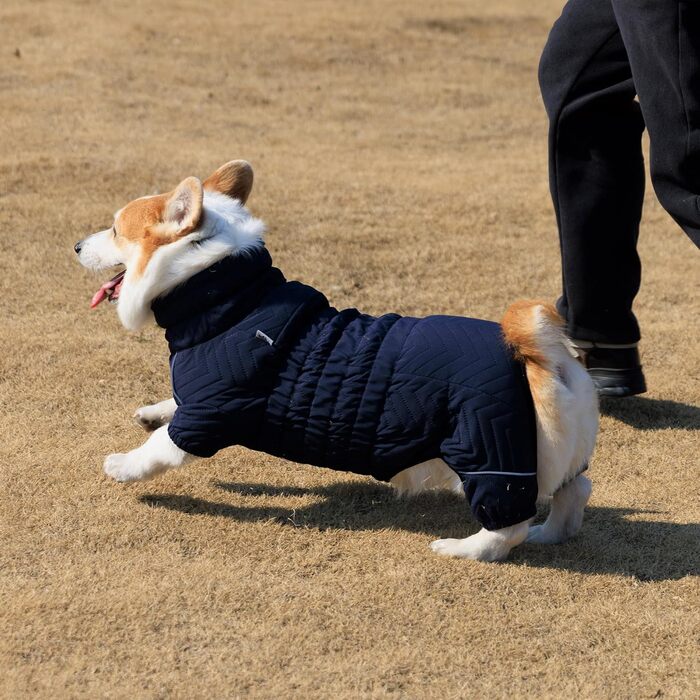 Водонепроникний теплий зимовий одяг для собак - тепла жилетка з двошарової тканини, з відбиваючими елементами, для маленьких, середніх та великих собак. Колір: сірий, розмір XXL, 2XL. Підходить для такс/коргі (розмір 17' "back").
