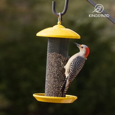 Автомат для годування птахів Kingsyard Distelfinken, нержавіюча сталь, годівниця для насіння Niger/Stieglitz, 1,1 кг, великий об'єм, антик-мідь (жовтий)