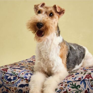 Килимок для собак Rosewood x Joules Festival Floral - розкішне ліжко для середніх собак, миється, з антиковзким дном