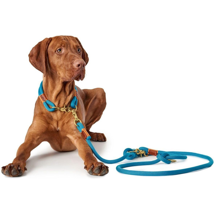 Нашийник для собак HUNTER OSS, петроль, L-XL, мотузка, карабін, морський стиль