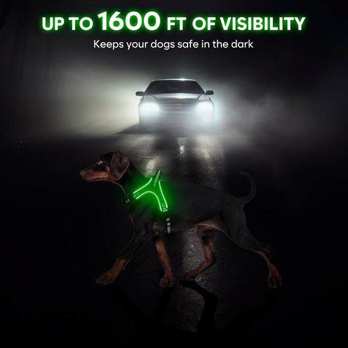 Світлодіодне обіднє світловідбиваючий нашийник для собак з ручкою, перезаряджається, для безпеки вночі, середніх та маленьких собак (L, Зелений)