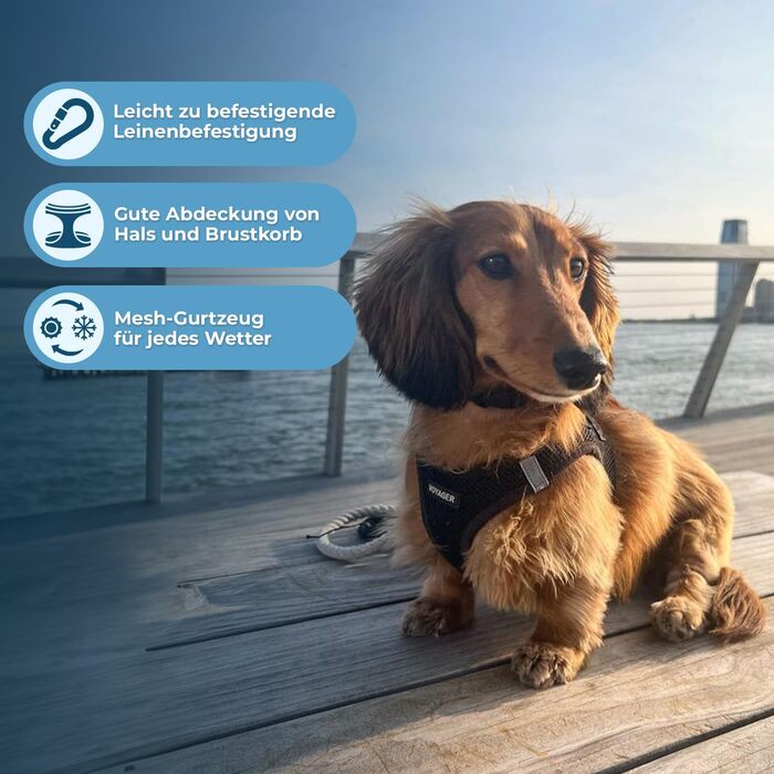 Шлея для собак Voyager Step-In Air, Best Pet Supplies, сіточка, всепогодна, для малих і середніх порід, чорна, розмір S (груди 37-40 см)