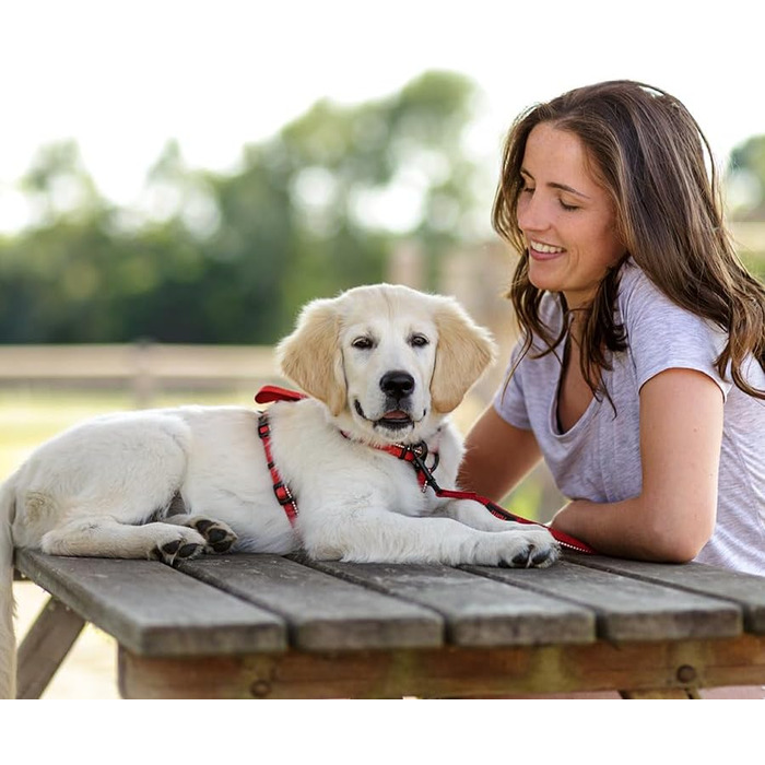 Шлейка для собак HALTI Walking, розмір M, червона. М'який неопреновий наповнювач, 5 регульованих ременів, світловідбиваюча тканина 3M. Підходить для середніх собак