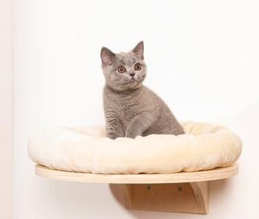 Крісло-лежанка для котів Natural Paradise Dahlia | Кругле ліжко з м'яким бортиком та кріпленням на липучці | Крізьолом для котів | Діаметр 48 см (Крем)