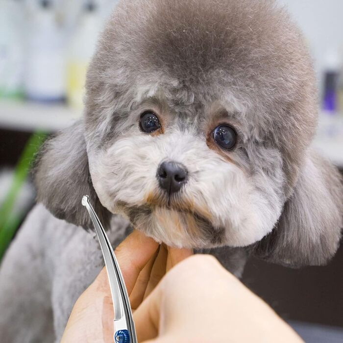 Набір для грумінгу собак Jiasoval 4-в-1: професійні ножиці, сталевий гребінець, сумка, безпечні кінчики