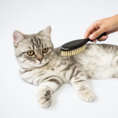 Щітка для котів LucyBalu® для короткої та довгої шерсті | Щітка для вичісування шерсті котів | Щітка для підшерстка котів | Гребінець для котів для догляду за шерстю | Щітка для шерсті тварин | Щітка для котів з щетиною та дерев'яною ручкою (Веган)