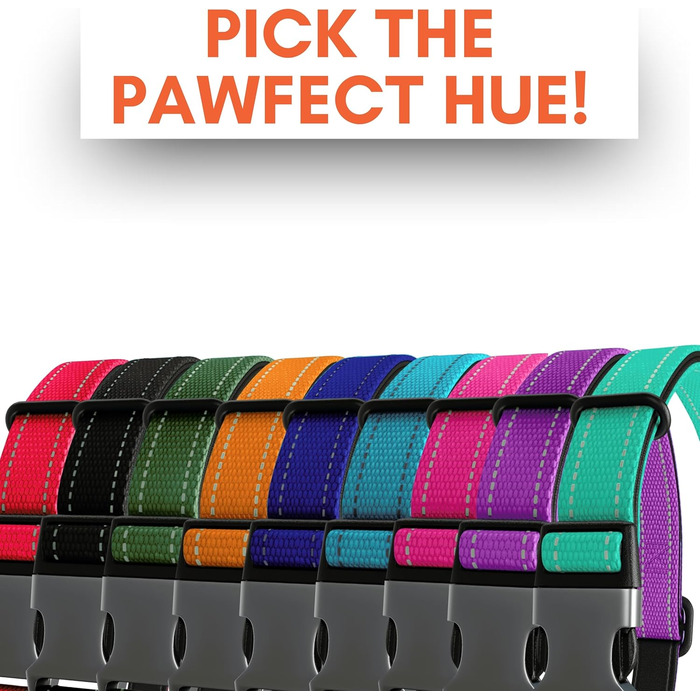 Нашийник для собак середнього розміру, світловідбиваючий, з підкладкою, регульований, металева застібка, кільце з алюмінію, колір Dreamy Aqua