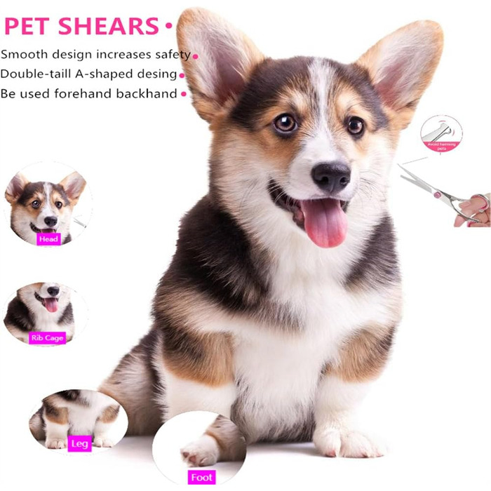 Ножиці для собак, вигнуті, професійні, з нержавіючої сталі, для грумінгу собак та котів