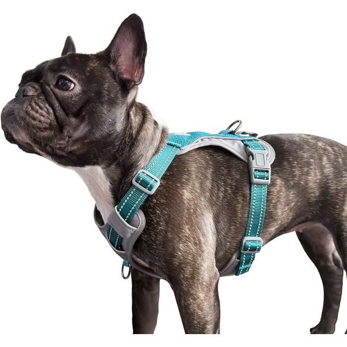 Шлейка для собак Huntboo Anti-Zug, для малих, середніх та великих собак, не тягне, світловідбиваюча, з 2 карабінами, регульована, для тренувань та бігу (M, синій)