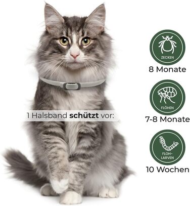 Захисний нашийник від бліх та кліщів Animal Vita® для котів - 100% натуральні інгредієнти, водонепроникний, надійний захист