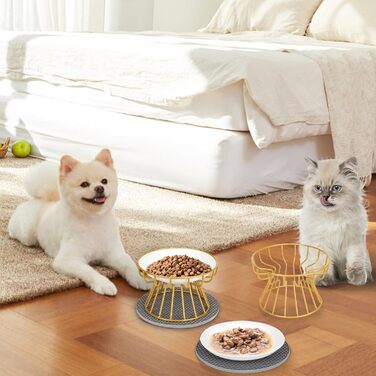 Підвищені годівниці для котів 2 шт. з кераміки з металевим підставкою, миски для котів з силіконовим килимком, станція для годування котів, миски для котів для їжі та води (Золотий)