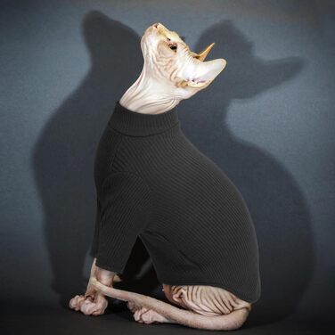 Одяг для безшерстних котів Sphynx: м'який пуловер з ролетним коміром, футболка, жилет. Чорний колір, розмір XL